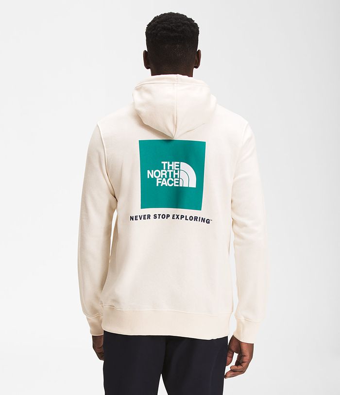 The North Face Mens Hoodie Box NSE Pullover 062FCNZTW - White